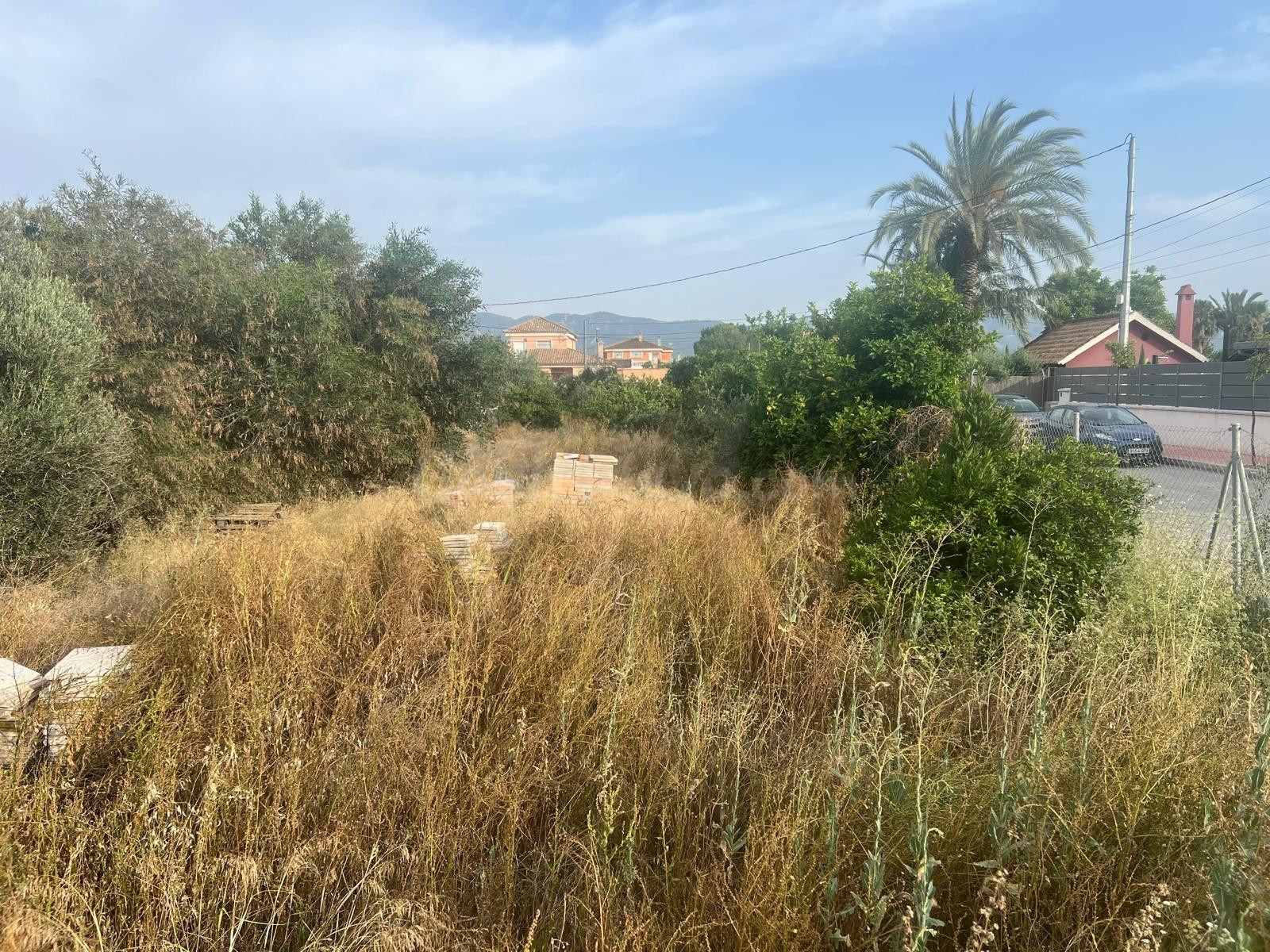 TERRENO URBANIZABLE DE 2000m2 - foto 4