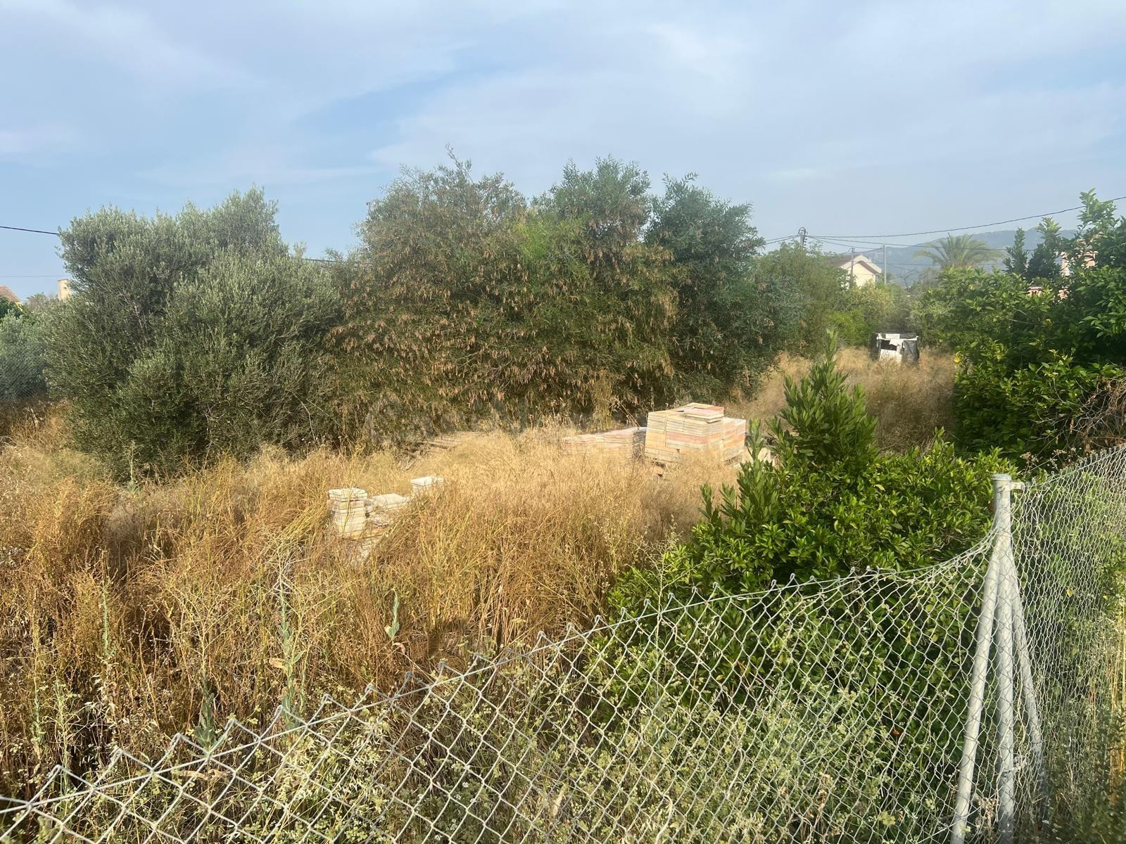 TERRENO URBANIZABLE DE 2000m2 - foto 5