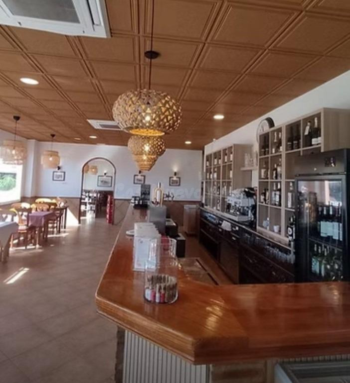 Local comercial 380m² en alquiler - Los Balcones - Los Altos - foto 3