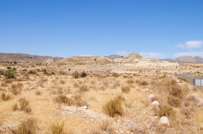 Parcela en venta - Abanilla - foto 2