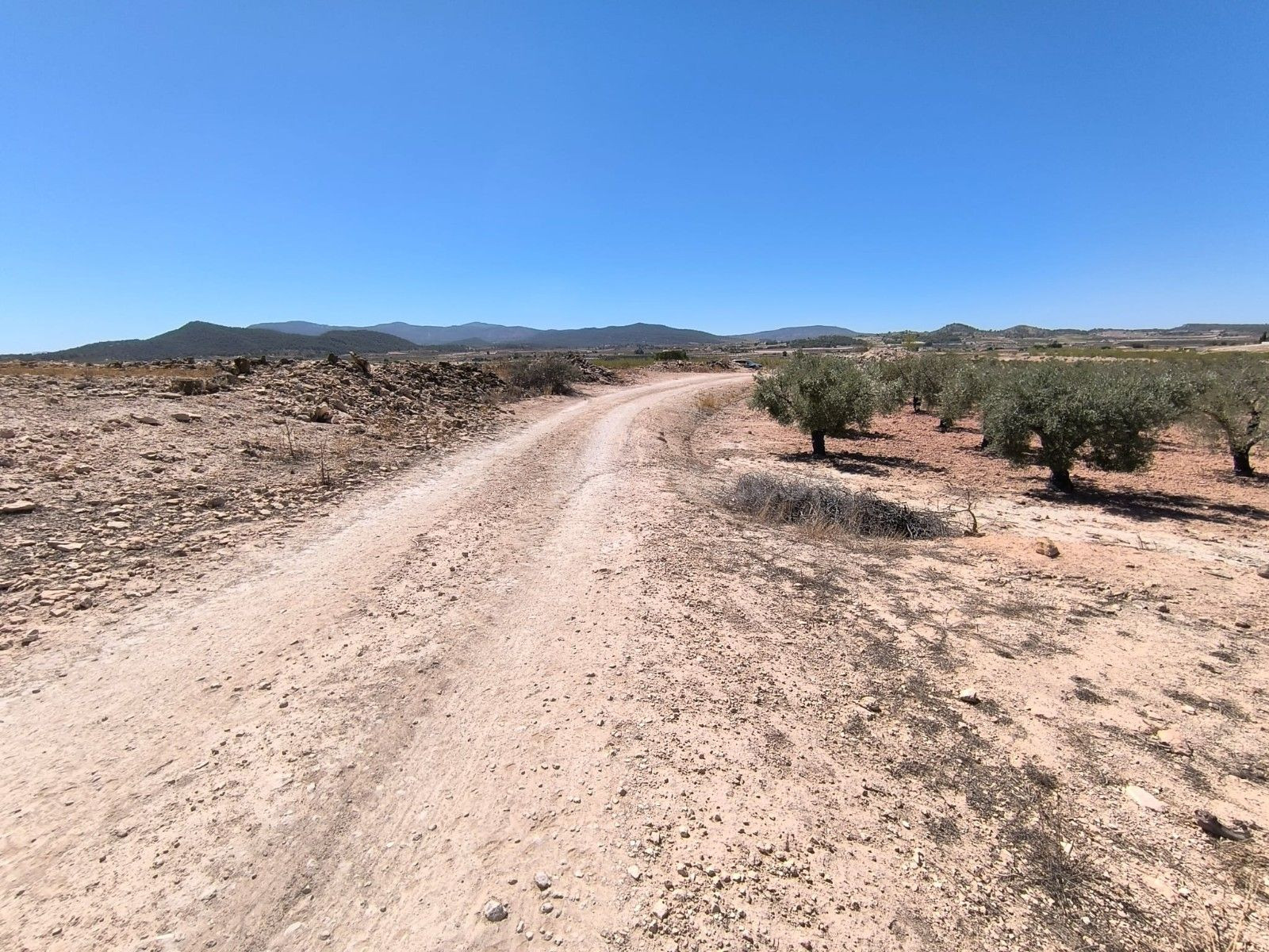 Parcela rural en venta en Monóvar, Alicante - foto 3
