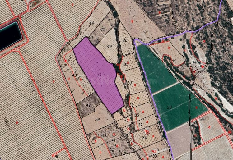 Parcela rural en venta en Pinoso, Comunidad Valenciana - foto 5