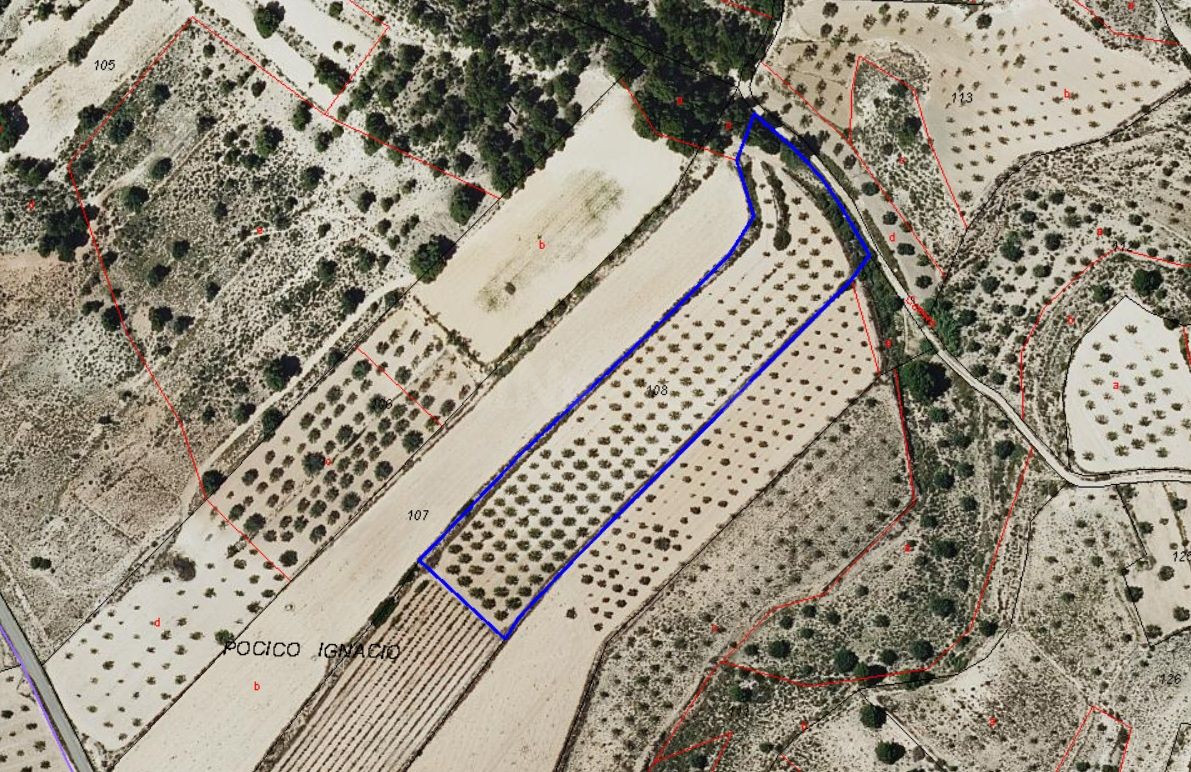 Parcela de 5 km de Monóvar, Alicante - foto 5