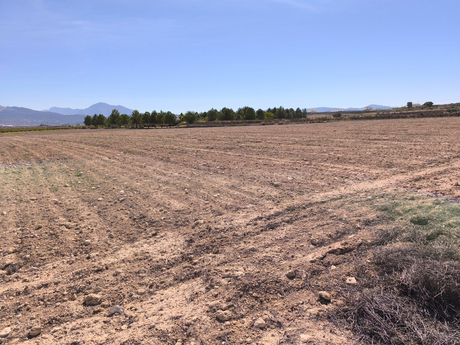 Finca en Pinoso, Comunidad Valenciana - Parcela de 35.000 m2