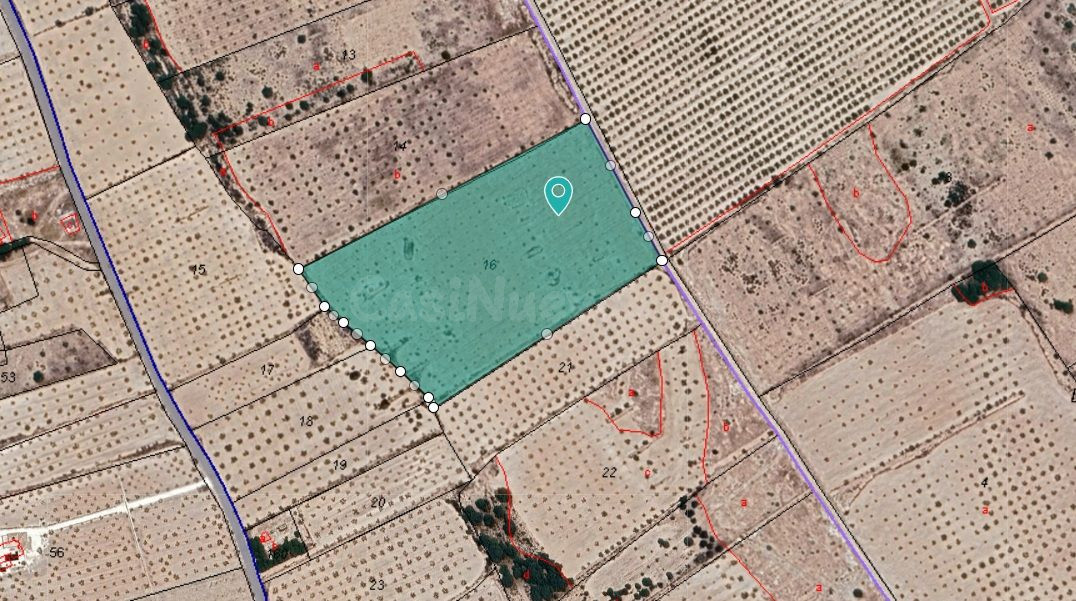 Parcela en venta en Monóvar, Comunidad Valenciana - foto 4