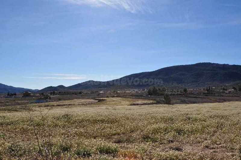 Parcela en venta en Monóvar, Comunidad Valenciana - foto 2