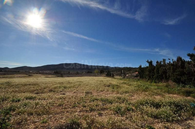 Parcela en venta en Monóvar, Comunidad Valenciana - foto 3