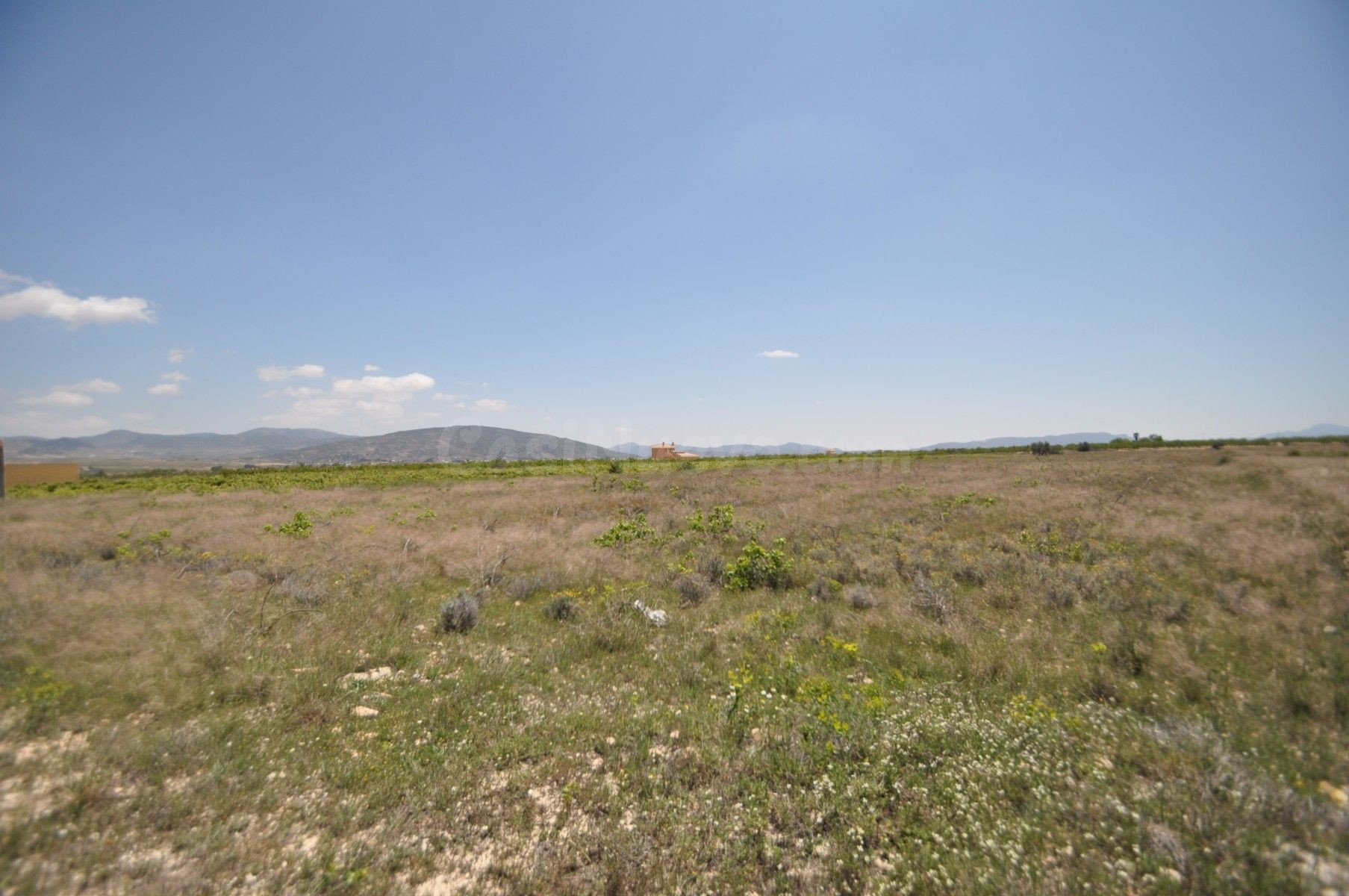 Parcela en venta en Pinoso, Comunidad Valenciana - foto 4