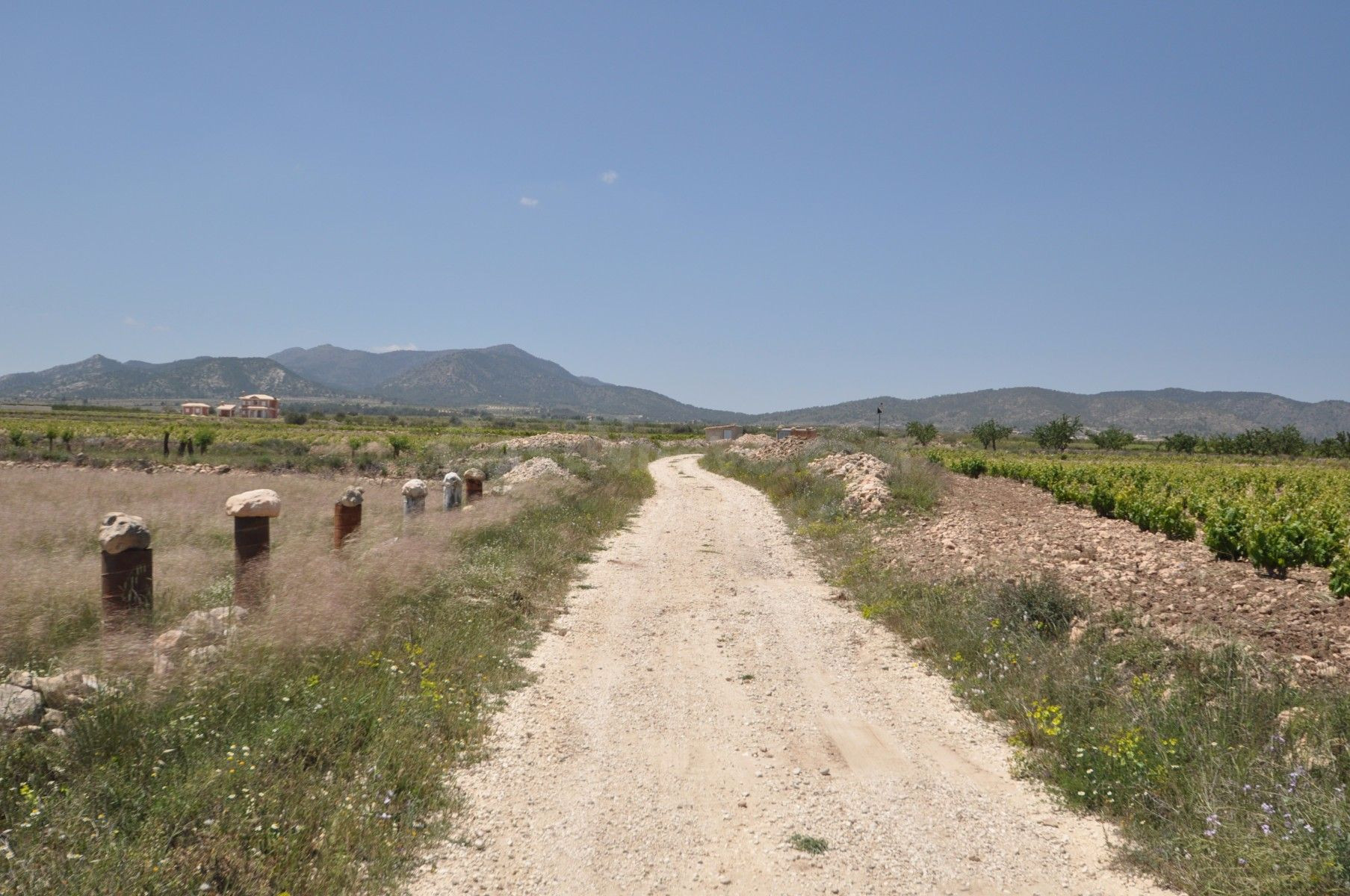 Parcela en venta en Pinoso, Comunidad Valenciana - foto 5