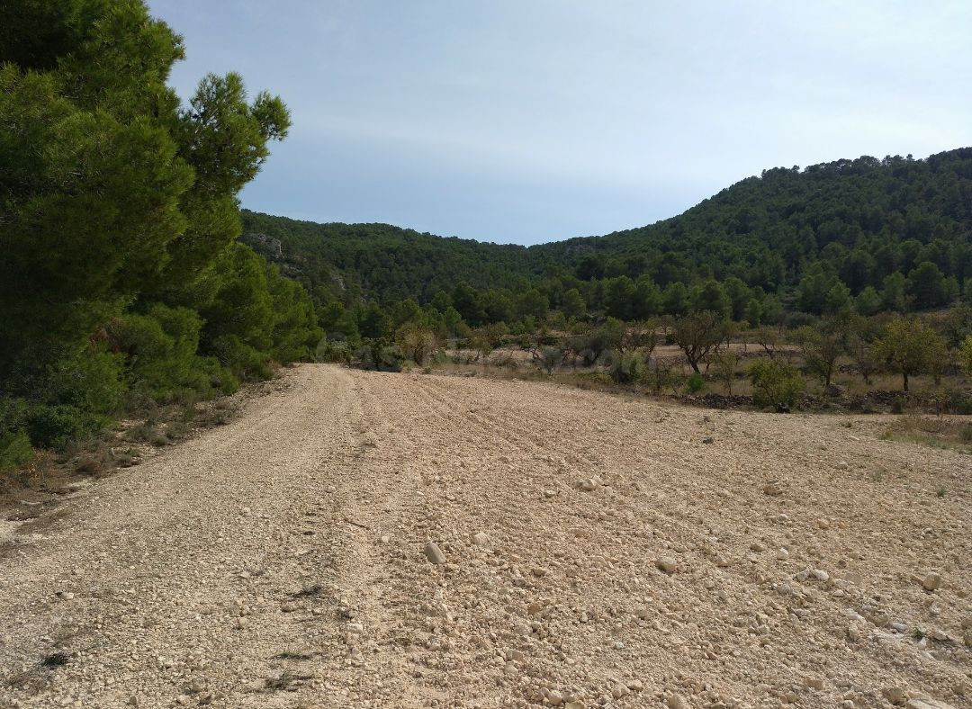 Parcela en venta - Abanilla - foto 2