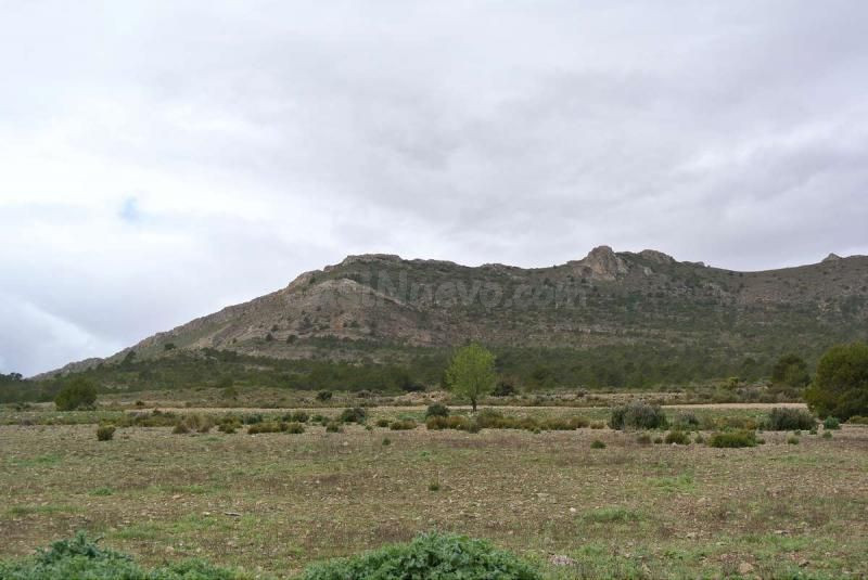 Parcela en venta - Ayuntamiento - foto 4
