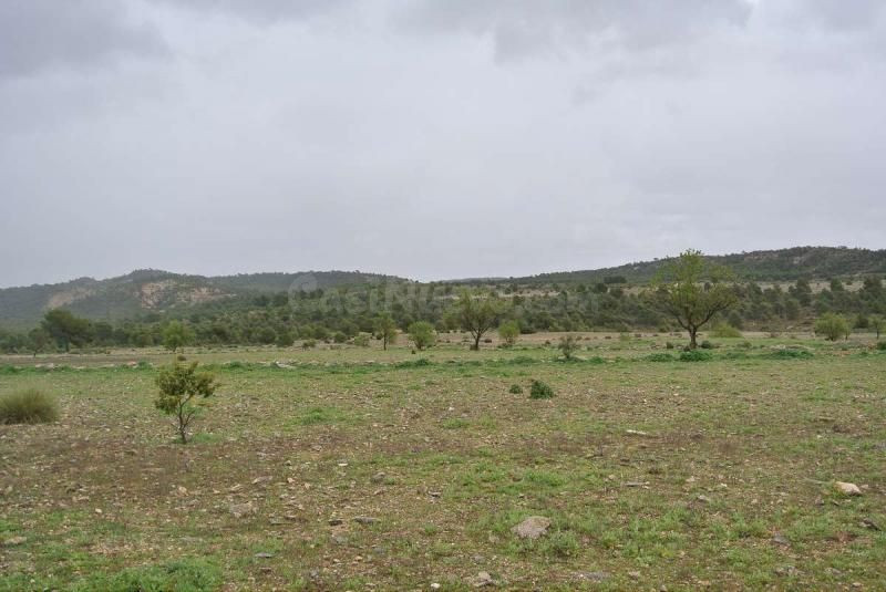 Parcela en venta - Ayuntamiento - foto 5