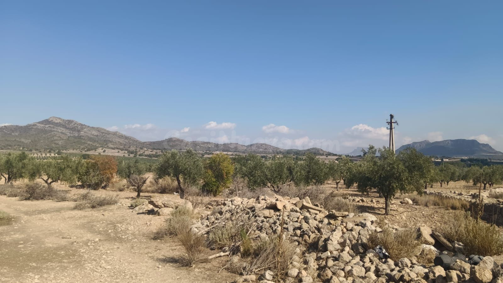 Parcela agropecuaria en Salinas, Alicante - foto 2