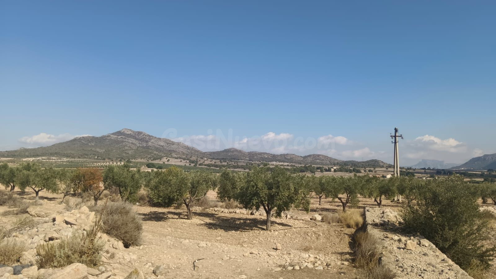 Parcela agropecuaria en Salinas, Alicante - foto 3