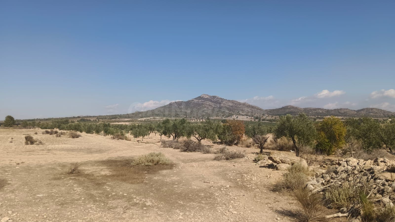 Parcela agropecuaria en Salinas, Alicante - foto 4