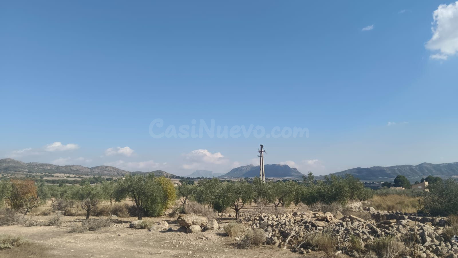Parcela agropecuaria en Salinas, Alicante - foto 5