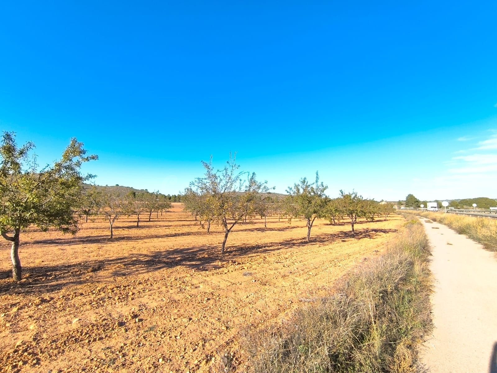 Parcela 5m² en venta - Ayuntamiento - foto 2
