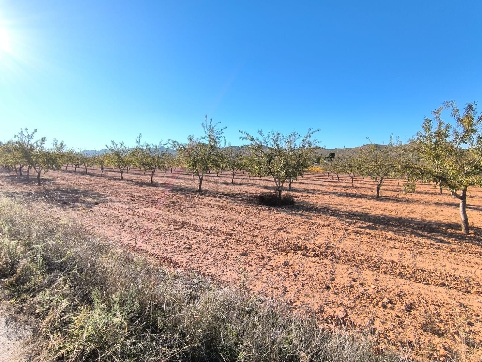 Parcela 5m² en venta - Ayuntamiento - foto 3