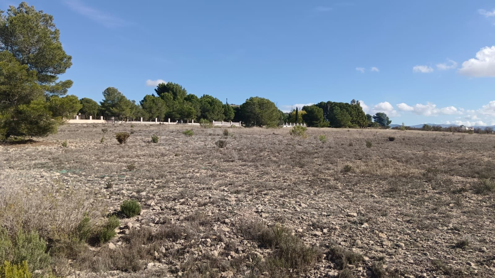 Parcela en venta en Salinas, Comunidad Valenciana - foto 3