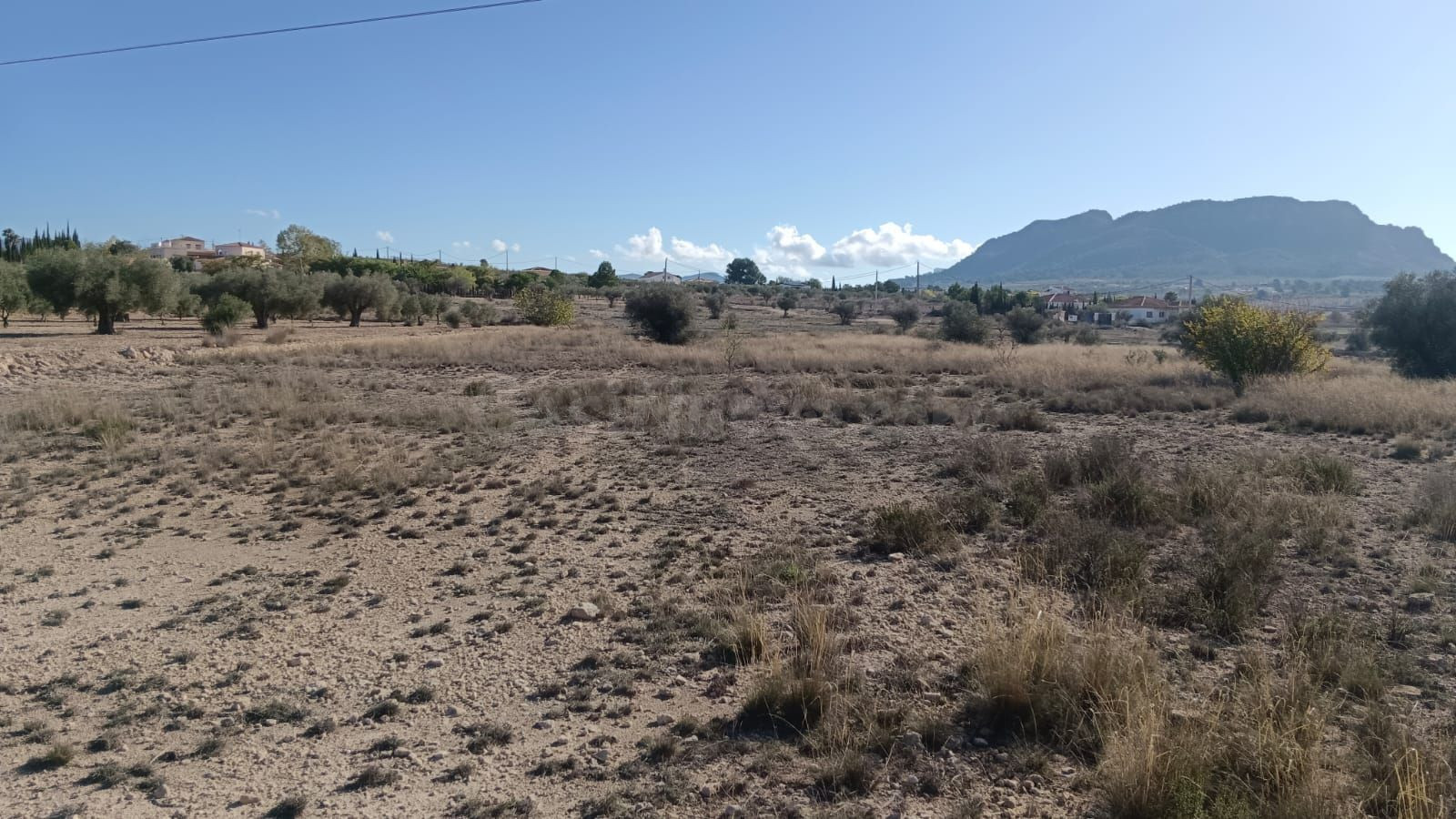 Parcela agrícola en Salinas, Alicante - Venta - foto 3