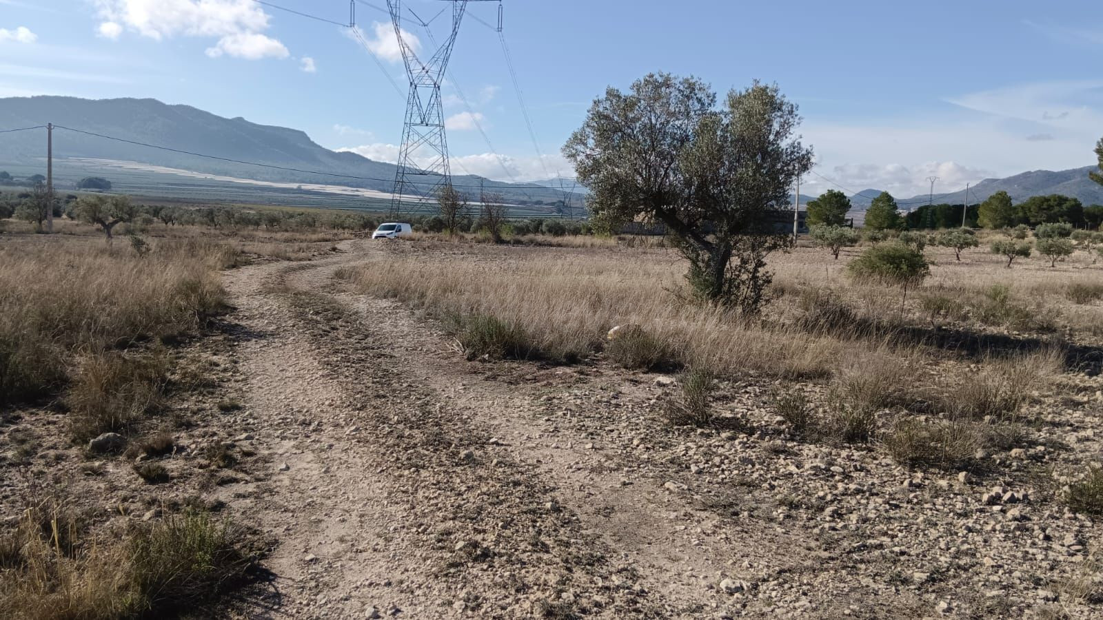 Parcela agrícola en Salinas, Alicante - Venta - foto 5