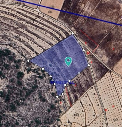 Parcela en venta - Abanilla - foto 2
