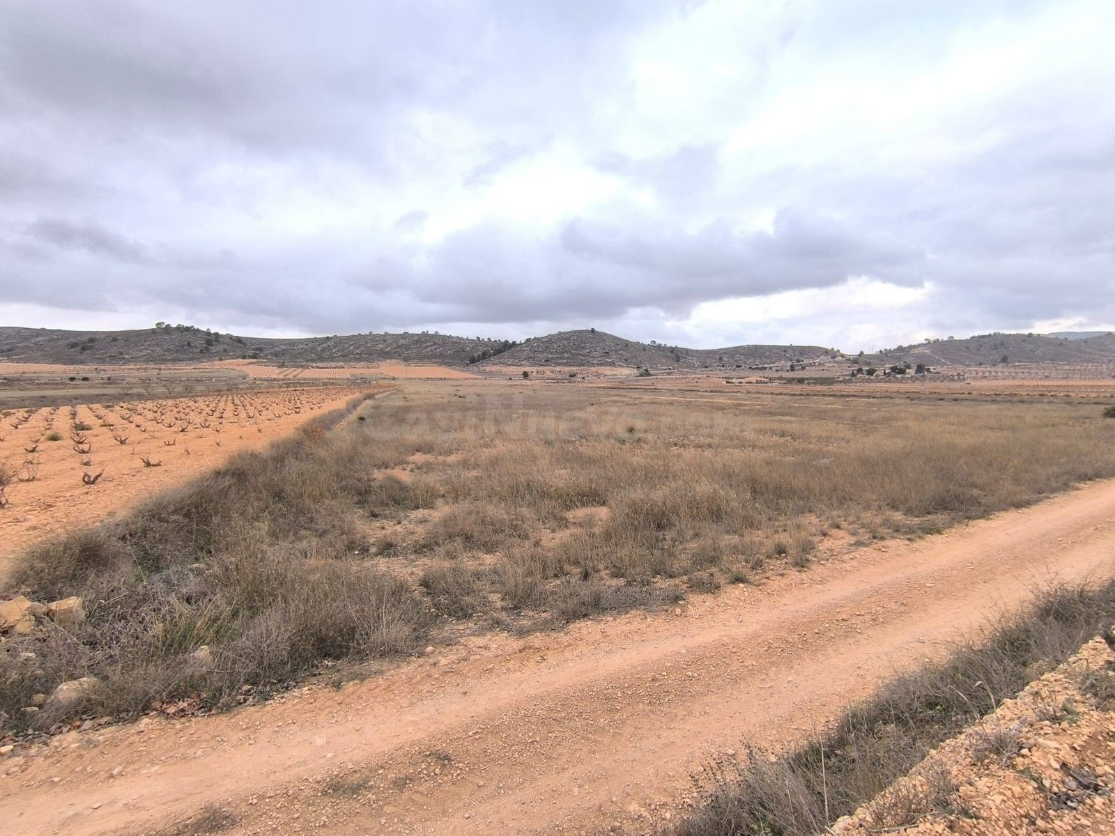 Parcela en venta en Pinoso, Comunidad Valenciana - foto 2