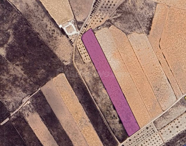 Parcela para construcción en Pinoso, Comunidad Valenciana - foto 3