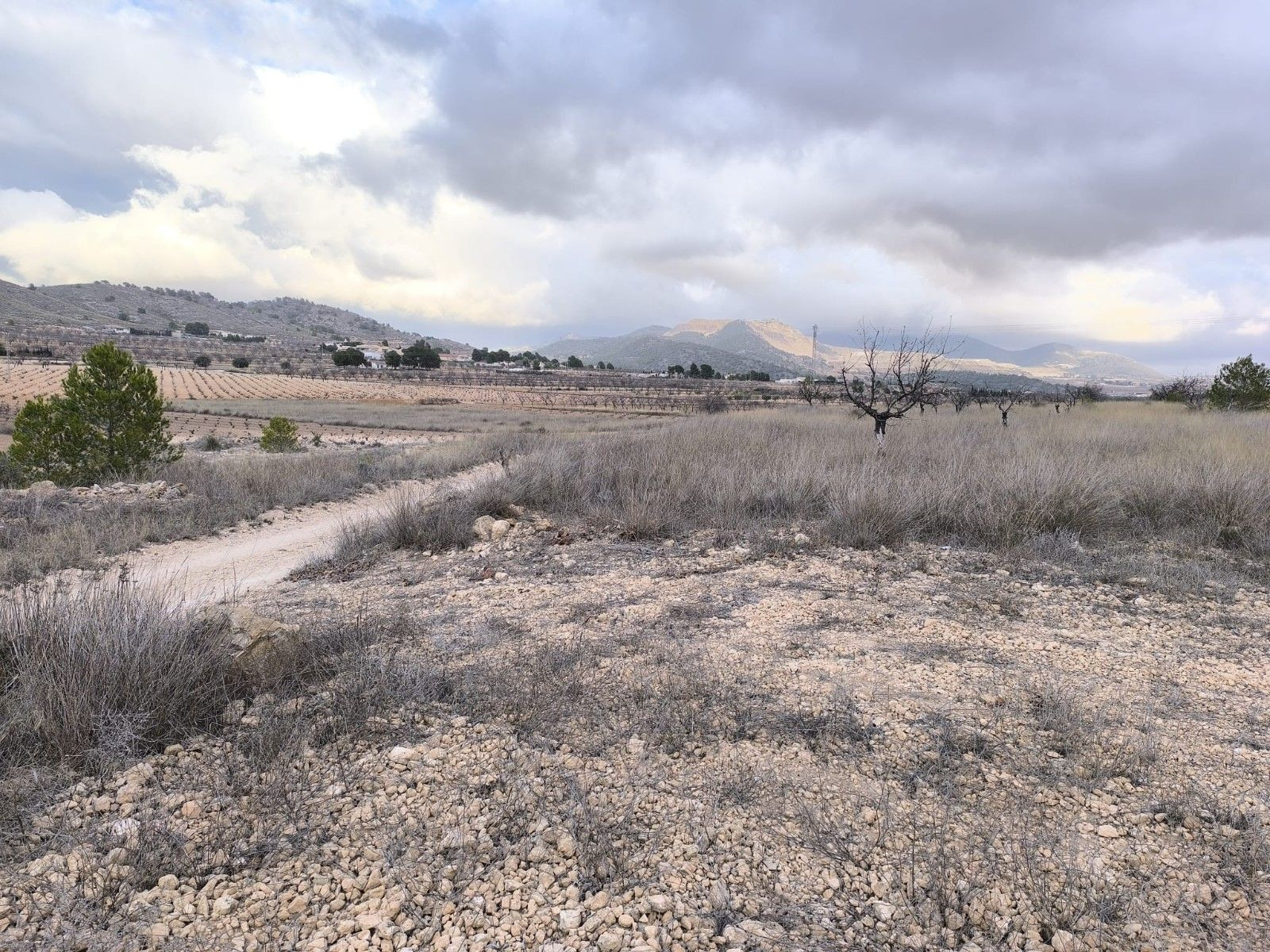 Parcela de construcción en venta en Pinoso, Valencia - foto 3