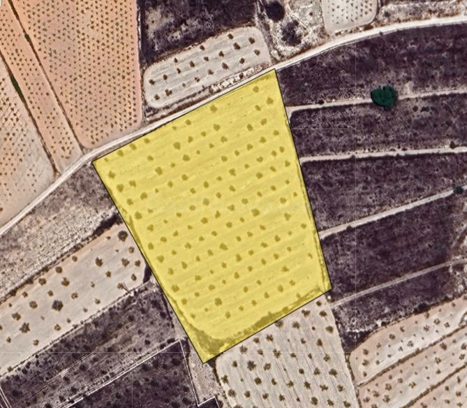 Parcela de construcción en venta en Pinoso, Valencia - foto 5