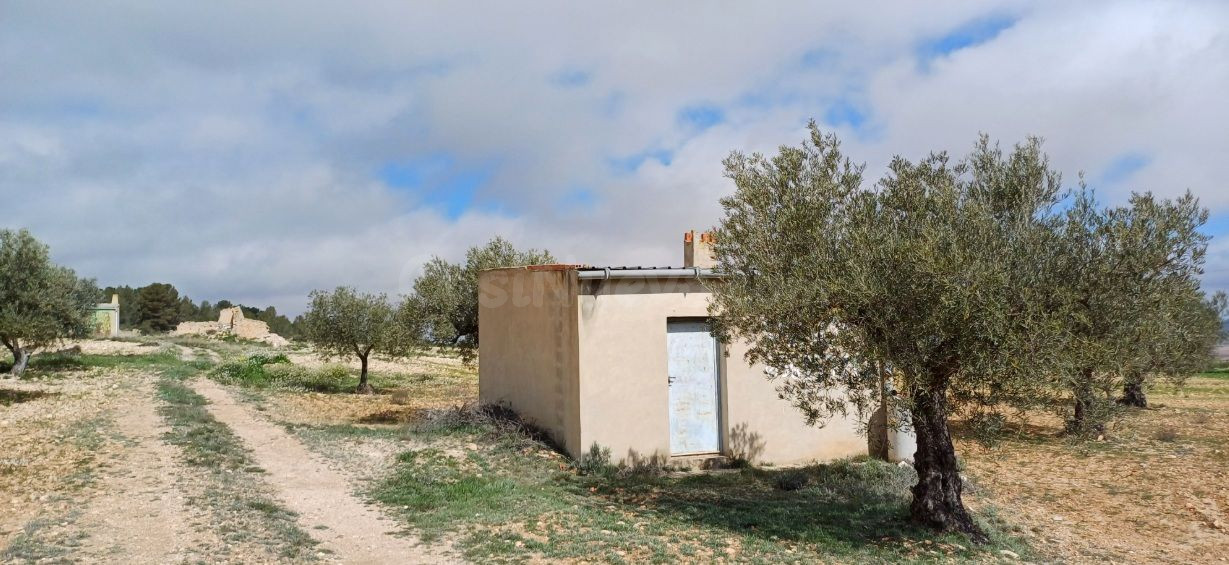 Parcela 30m² en venta - Yecla - foto 3