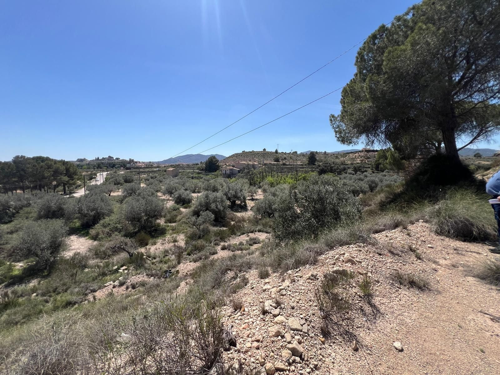 Vende parcela en Monóvar, ideal para inversión o desarrollo - foto 2