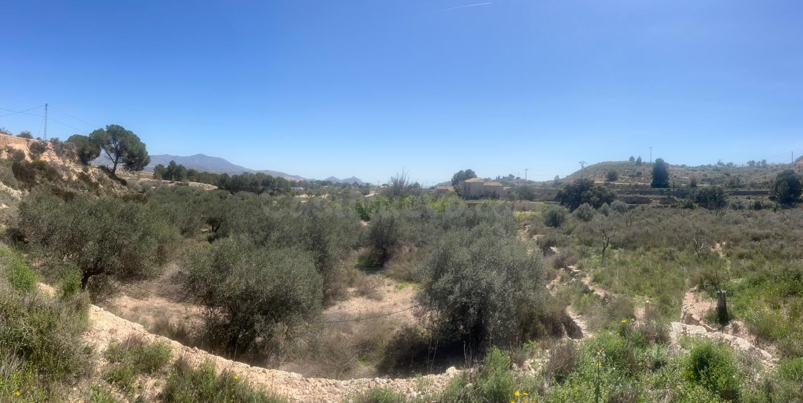 Vende parcela en Monóvar, ideal para inversión o desarrollo - foto 4