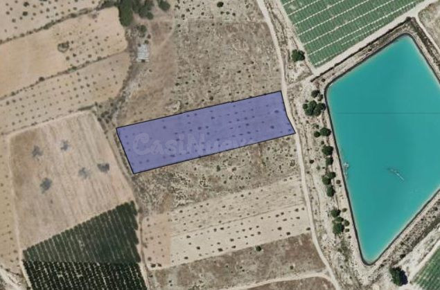 Parcela rústica en Monóvar, Comunidad Valenciana - foto 5
