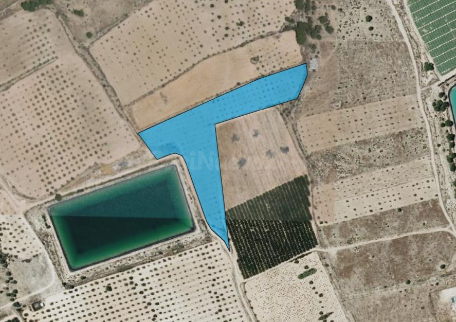 Tierra de ensueño en Monóvar, Alicante - Propiedad ideal par - foto 5