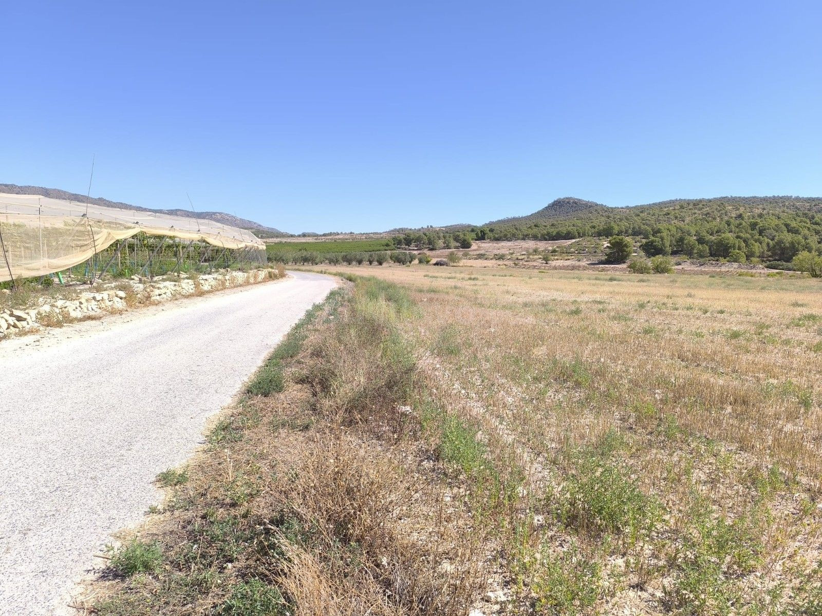 Parcela en venta en Monóvar, Costa Blanca - foto 2