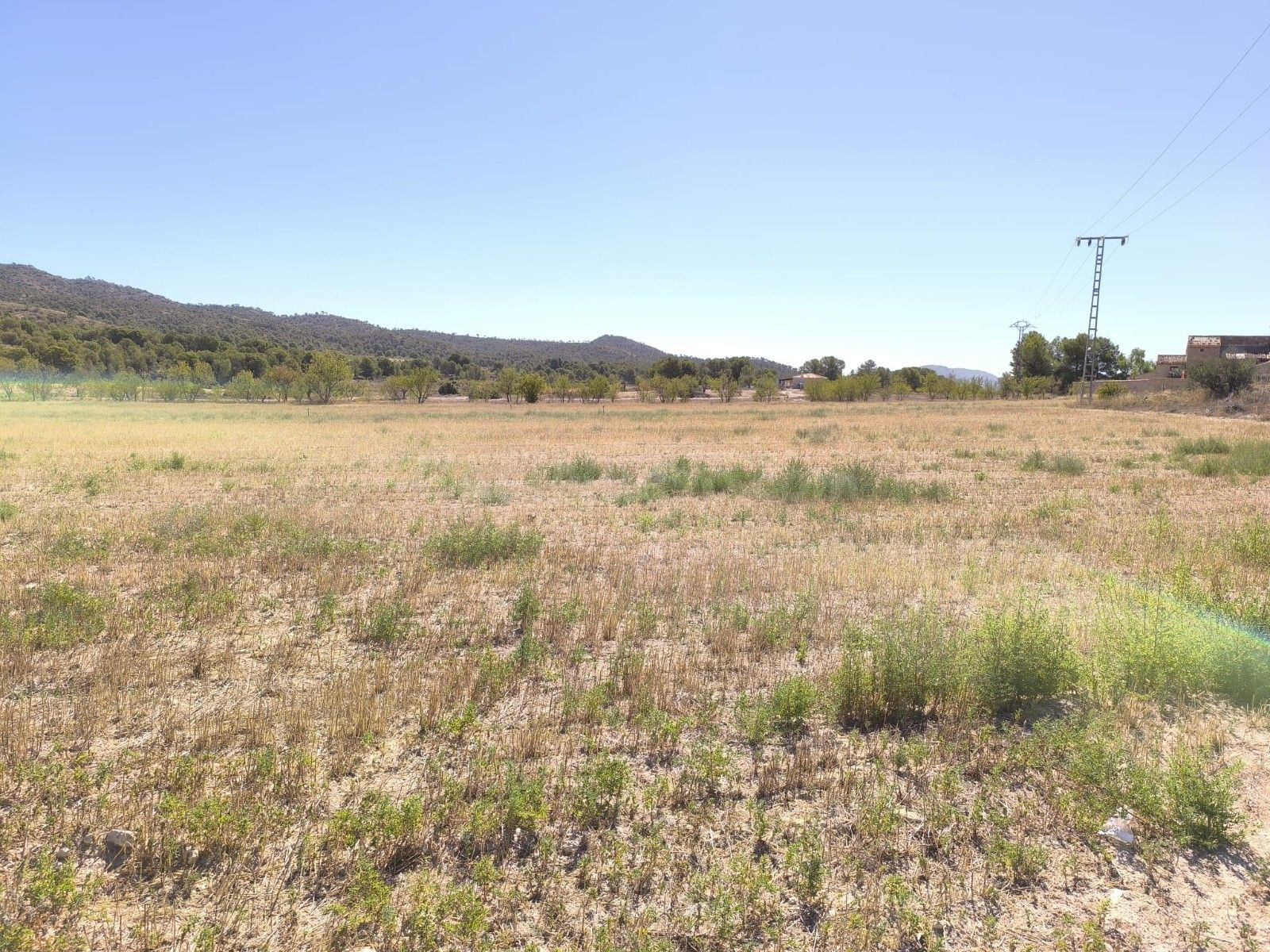 Parcela en venta en Monóvar, Costa Blanca - foto 3