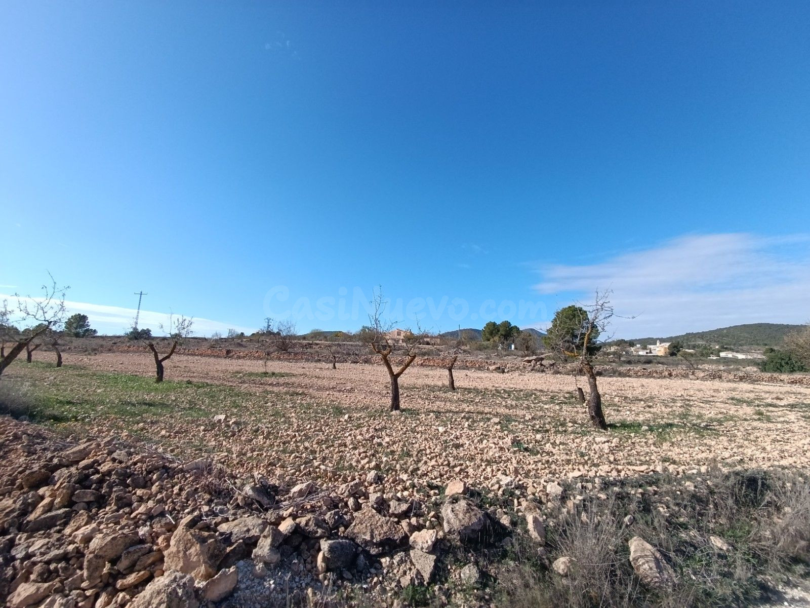 Finca de Recreo 2 habitaciones 310m² en venta - Ayuntamiento - foto 4