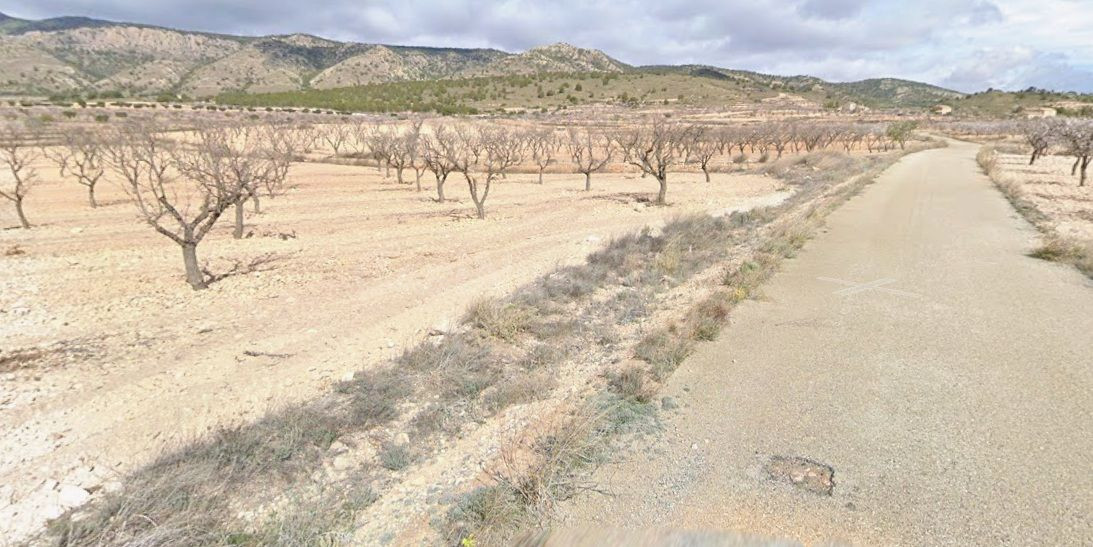 Parcela en venta en Pinoso, Comunidad Valenciana - foto 3