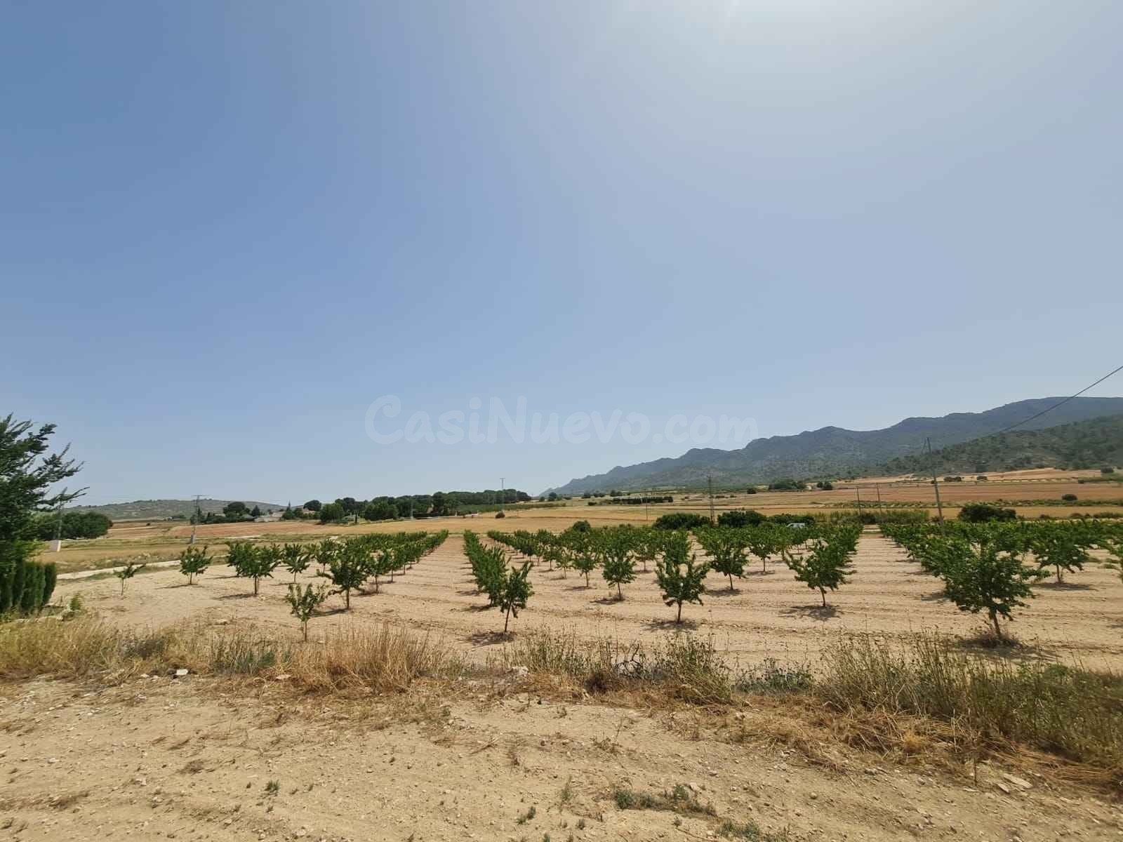 Parcela en venta - Ayuntamiento - foto 3