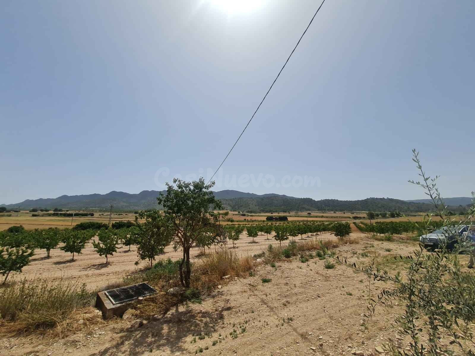 Parcela en venta - Ayuntamiento - foto 4
