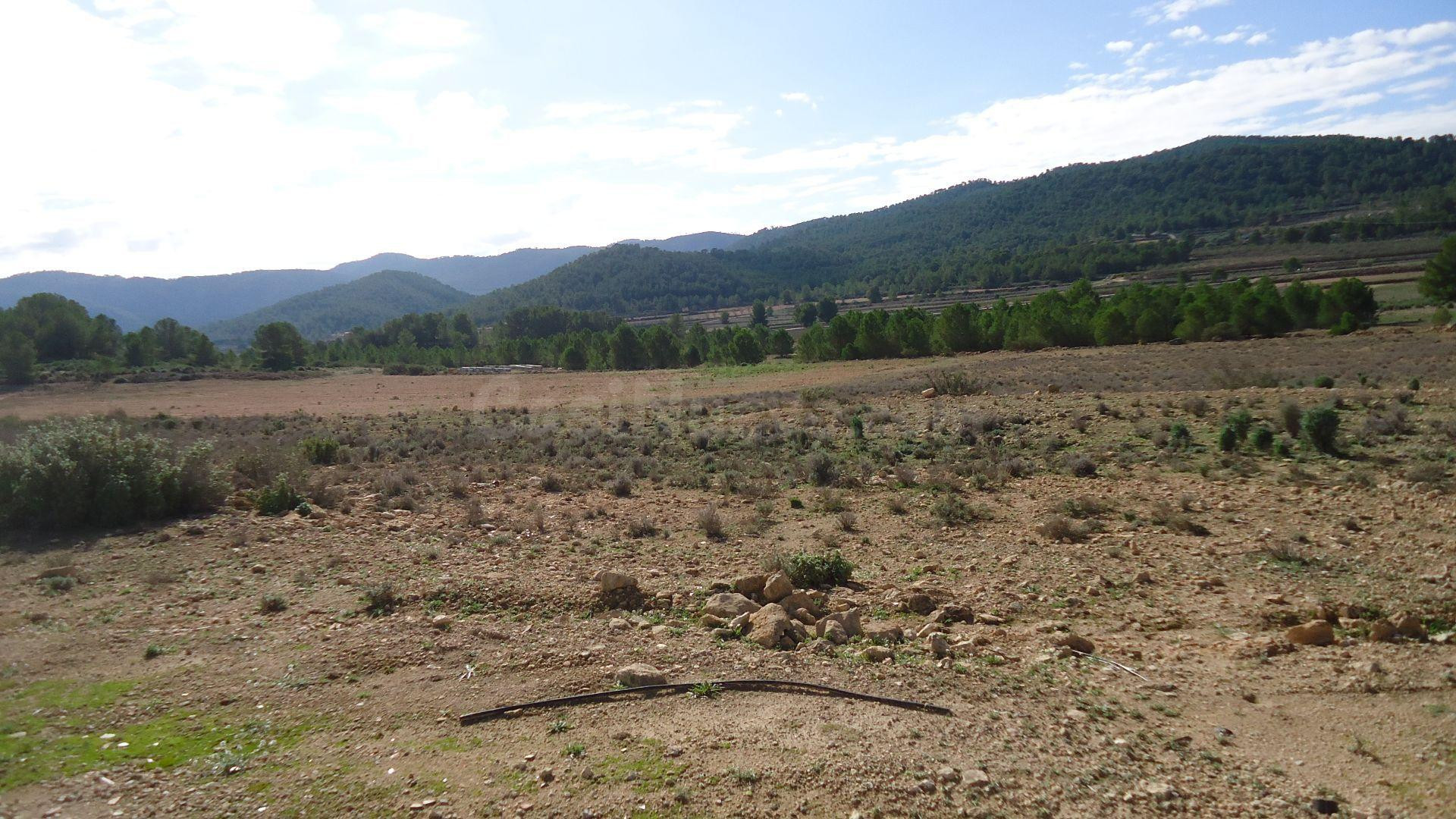 Parcela edificable en Monóvar, Comunidad Valenciana - foto 5