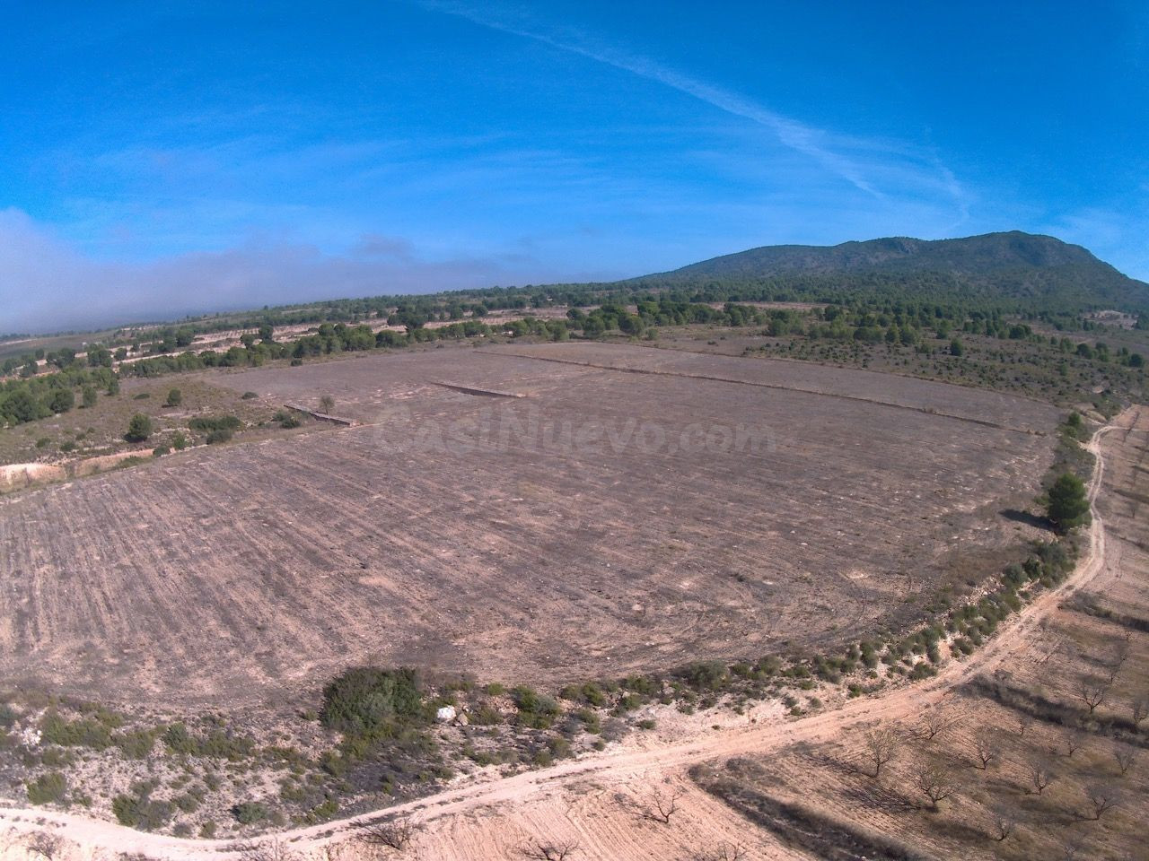 Parcela en venta - Yecla - foto 4