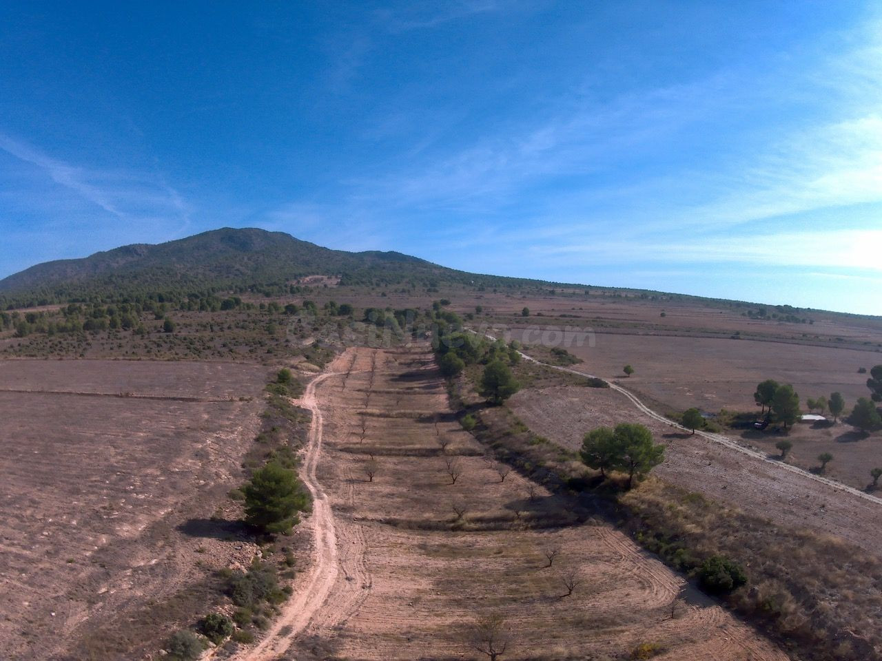Parcela en venta - Yecla - foto 5