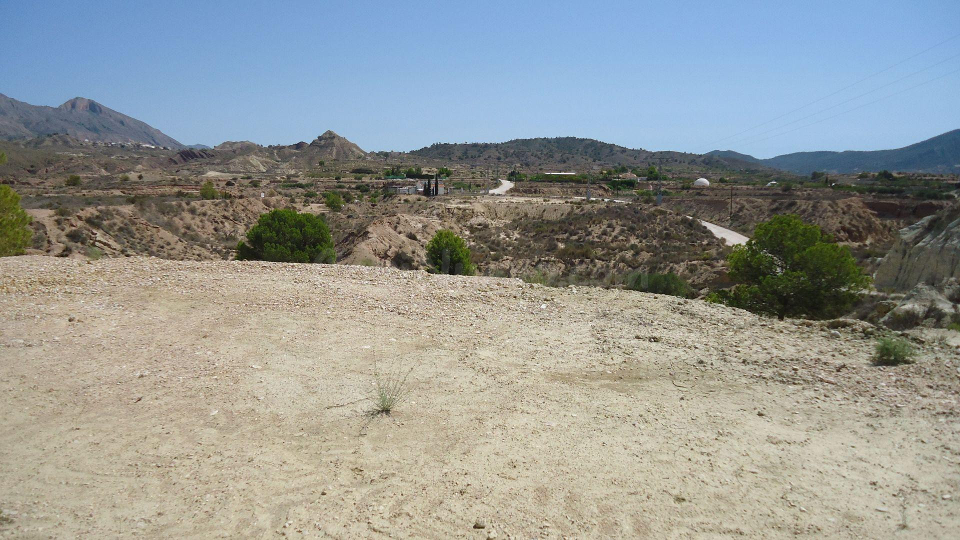 Parcela en venta - ABANILLA - foto 2