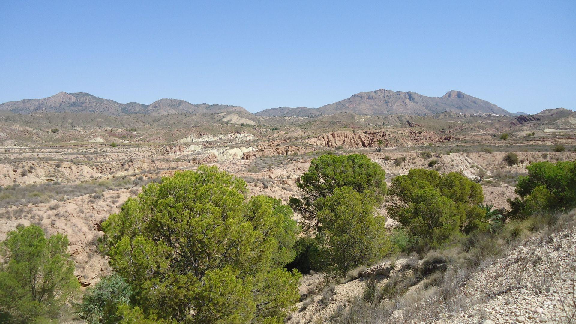 Parcela en venta - ABANILLA - foto 4