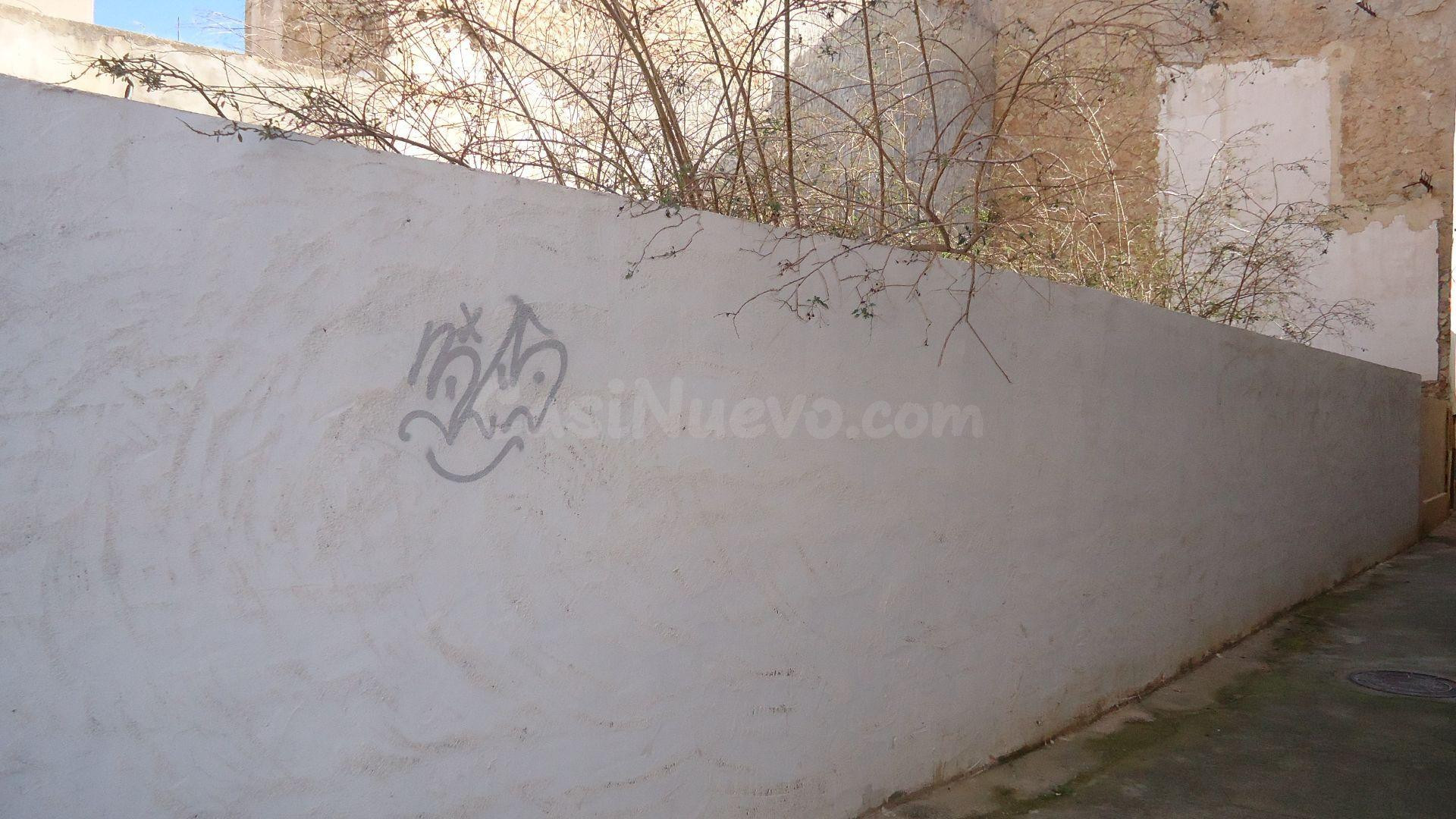 Parcela rústica en venta en Monóvar - foto 2
