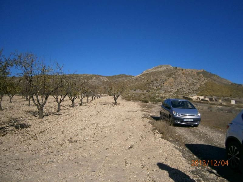 Parcela en venta - Ayuntamiento - foto 5