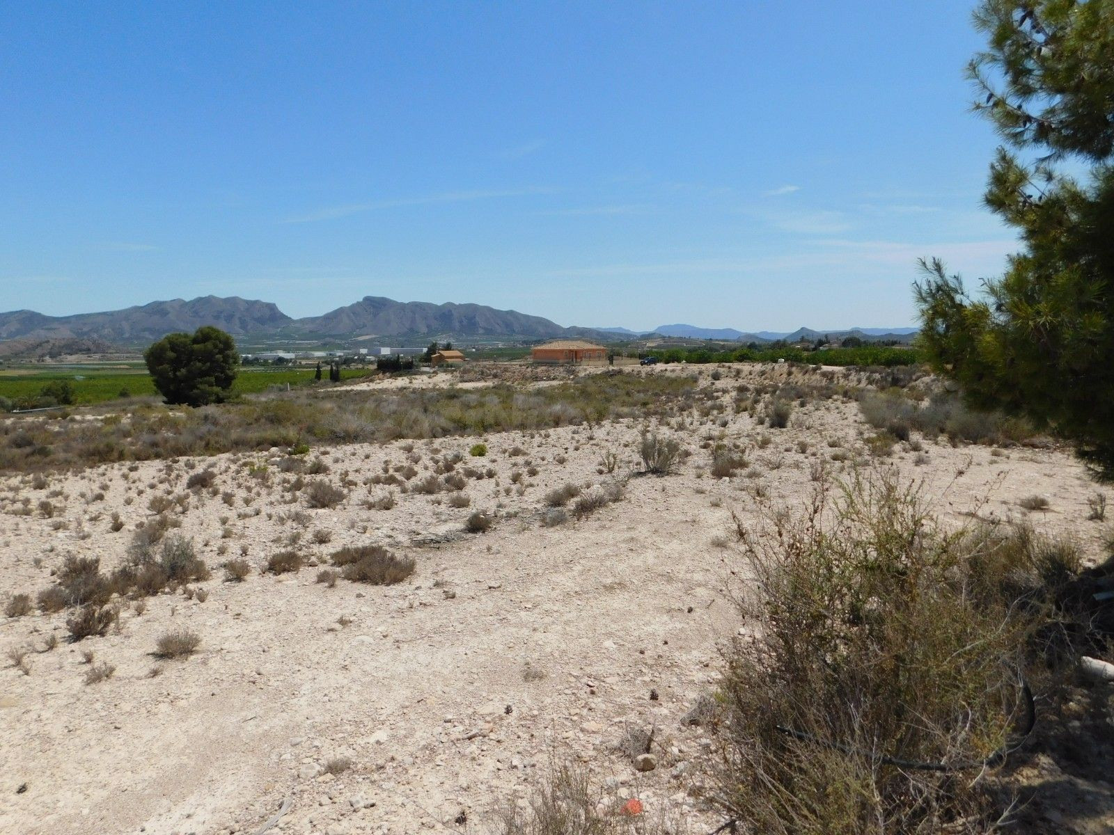 Parcela en venta - Fortuna - foto 3