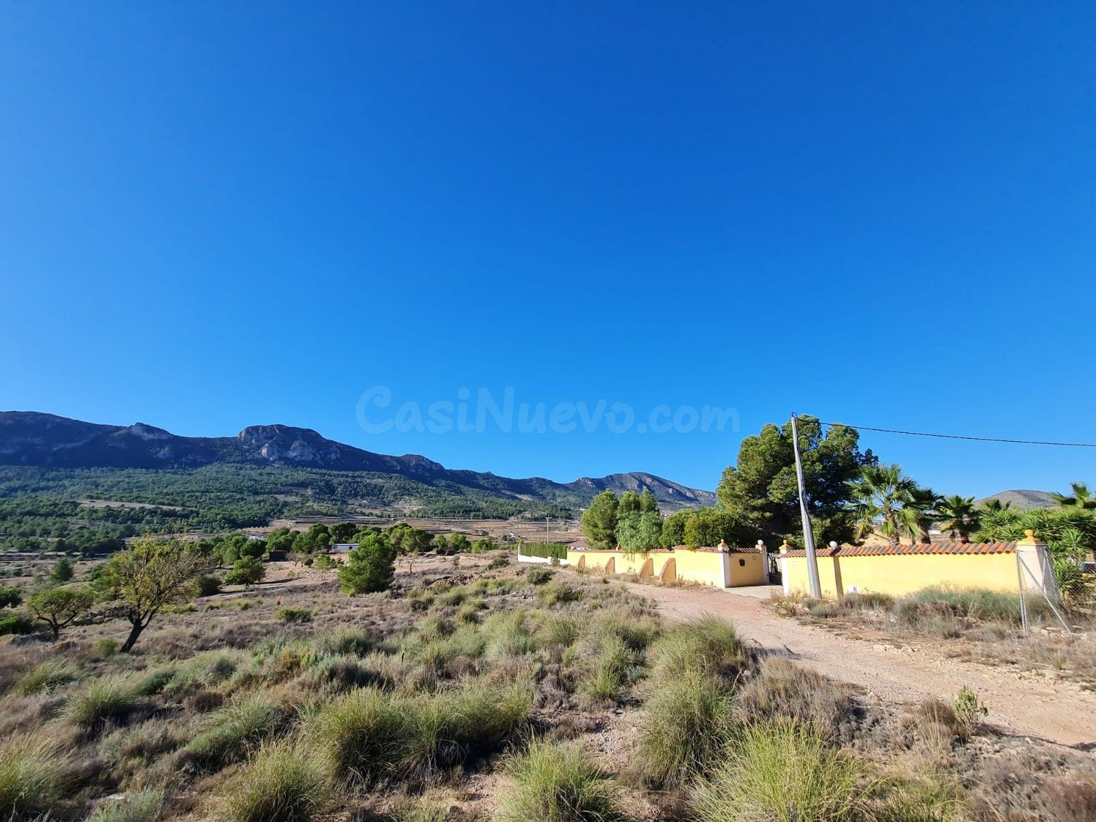 Parcela agrícola en La Romana, Comunidad Valenciana - foto 3